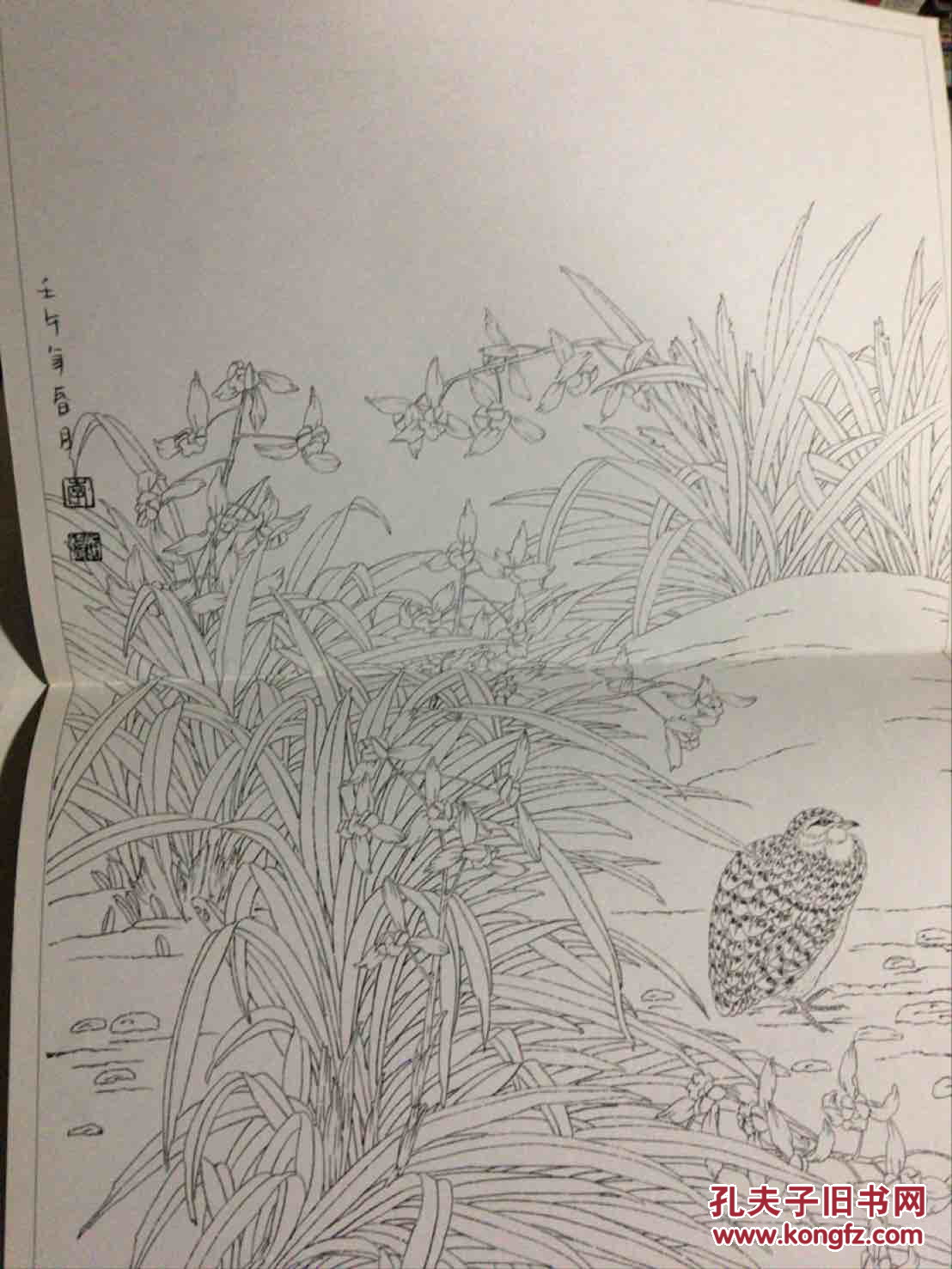 工笔画线描全谱空谷幽兰装订平装开本8开版次一版一印另附一张大开的