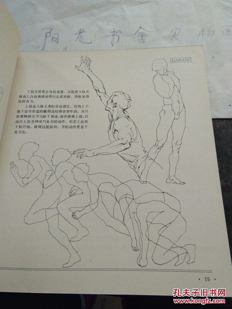 人体造型基础