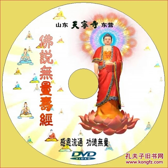 佛说无量寿经 3d卡通动画 佛教光盘结缘dvd