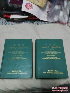 人口普查电子档怎么汇总_人口普查