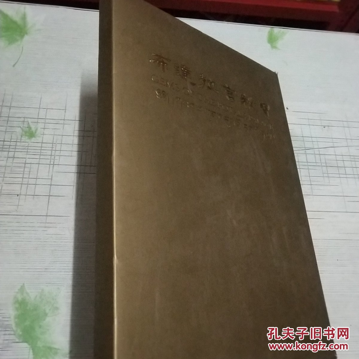 布达拉宫秘宝