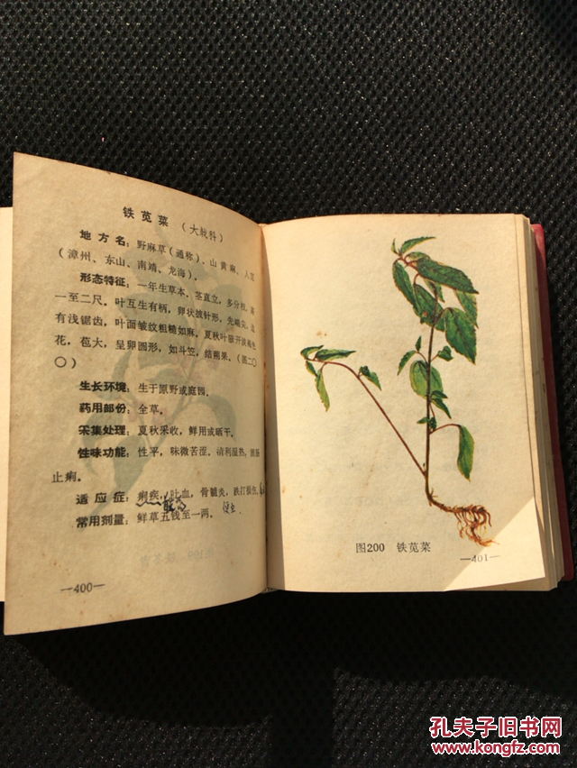 实用中草药(龙溪专区)收闽南地区中草药310种,并附图310幅,处方一千多