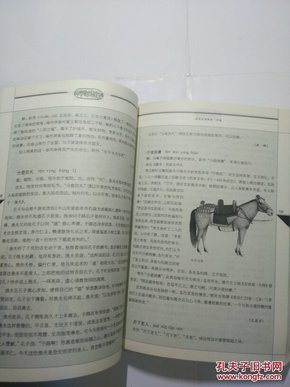 什么始有什么成语_什么有什么为成语(3)
