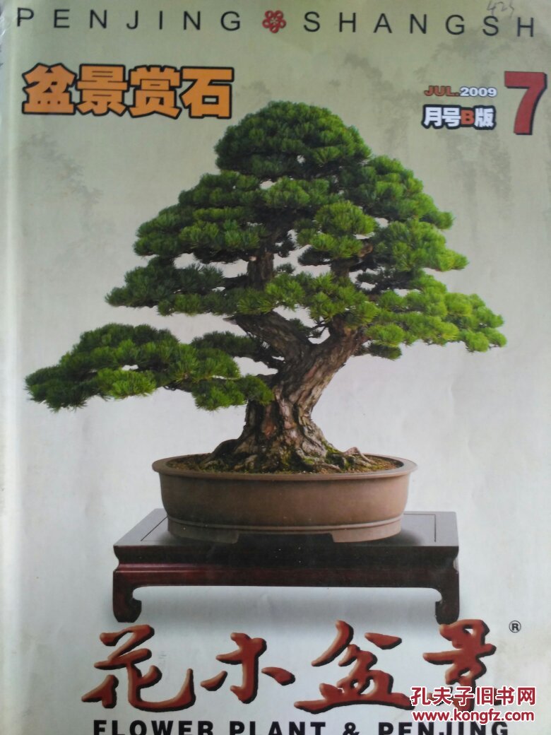 2009.7盆景赏石花木盆景2009.