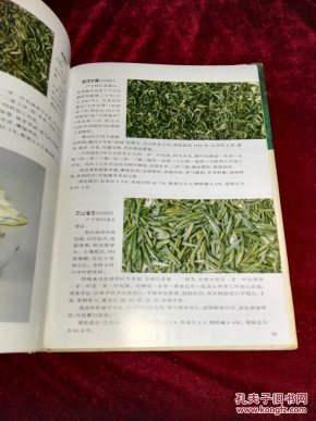 简谱绿茶_绿茶女动漫头像(2)