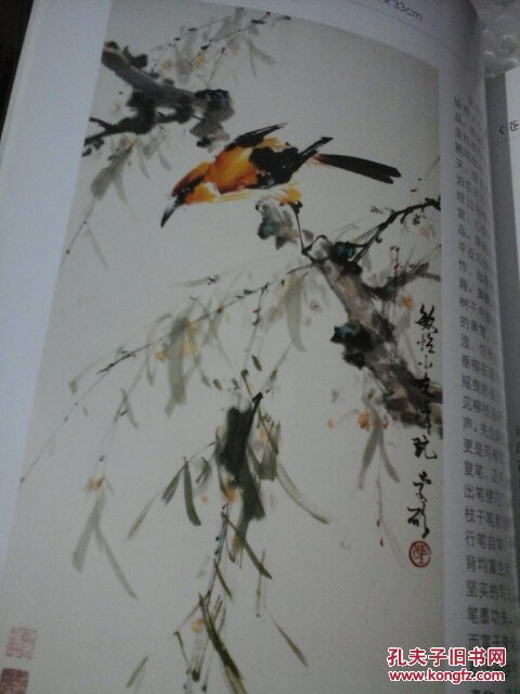 冯曼硕百年纪念画册