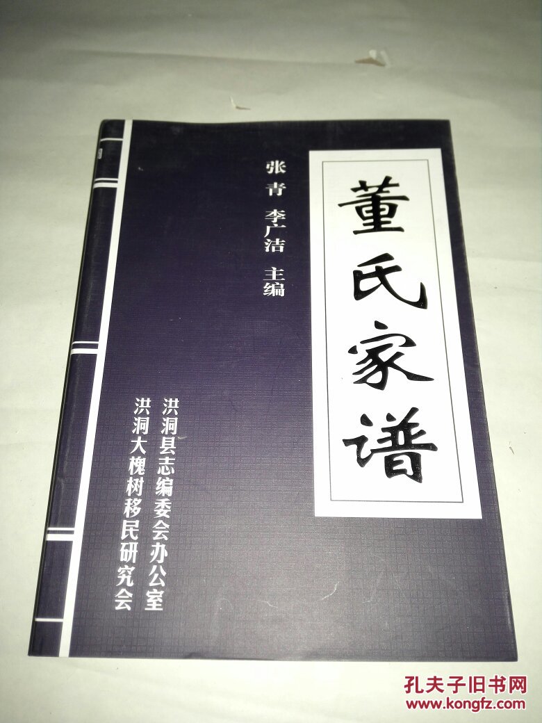 董氏家谱(现货,内页干净)