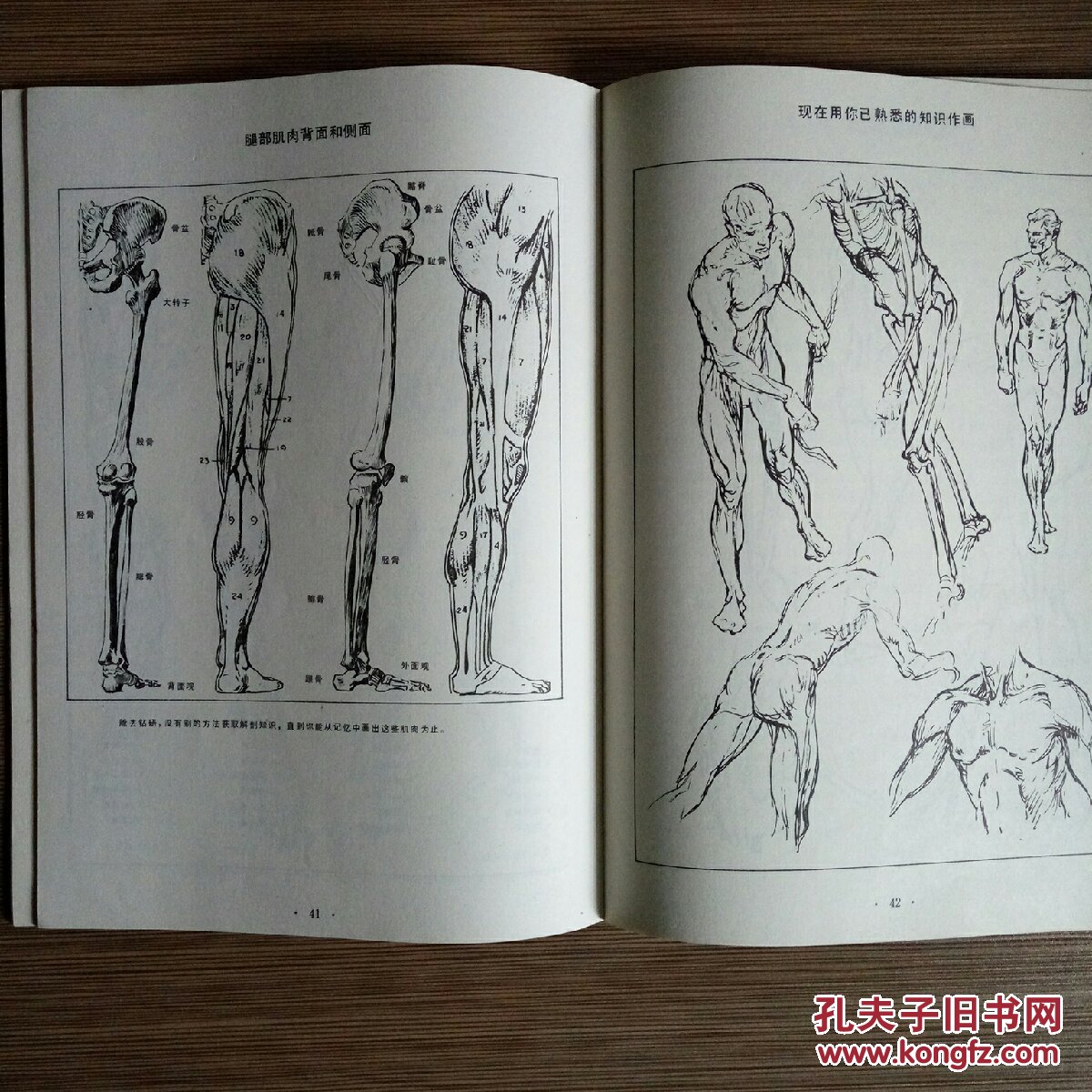人体素描_(美)安德鲁.路米斯_孔夫子旧书网
