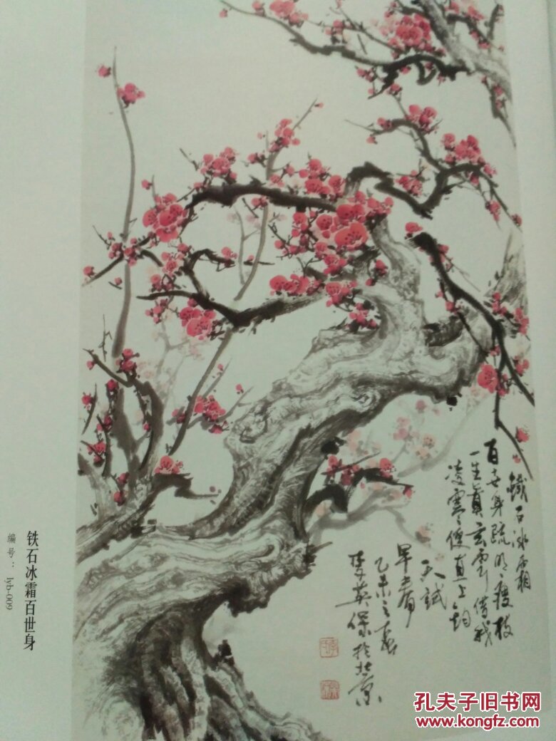 梅花王:中国当代梅花拍卖最高记录保持者:李英保画集李英保梅花画集