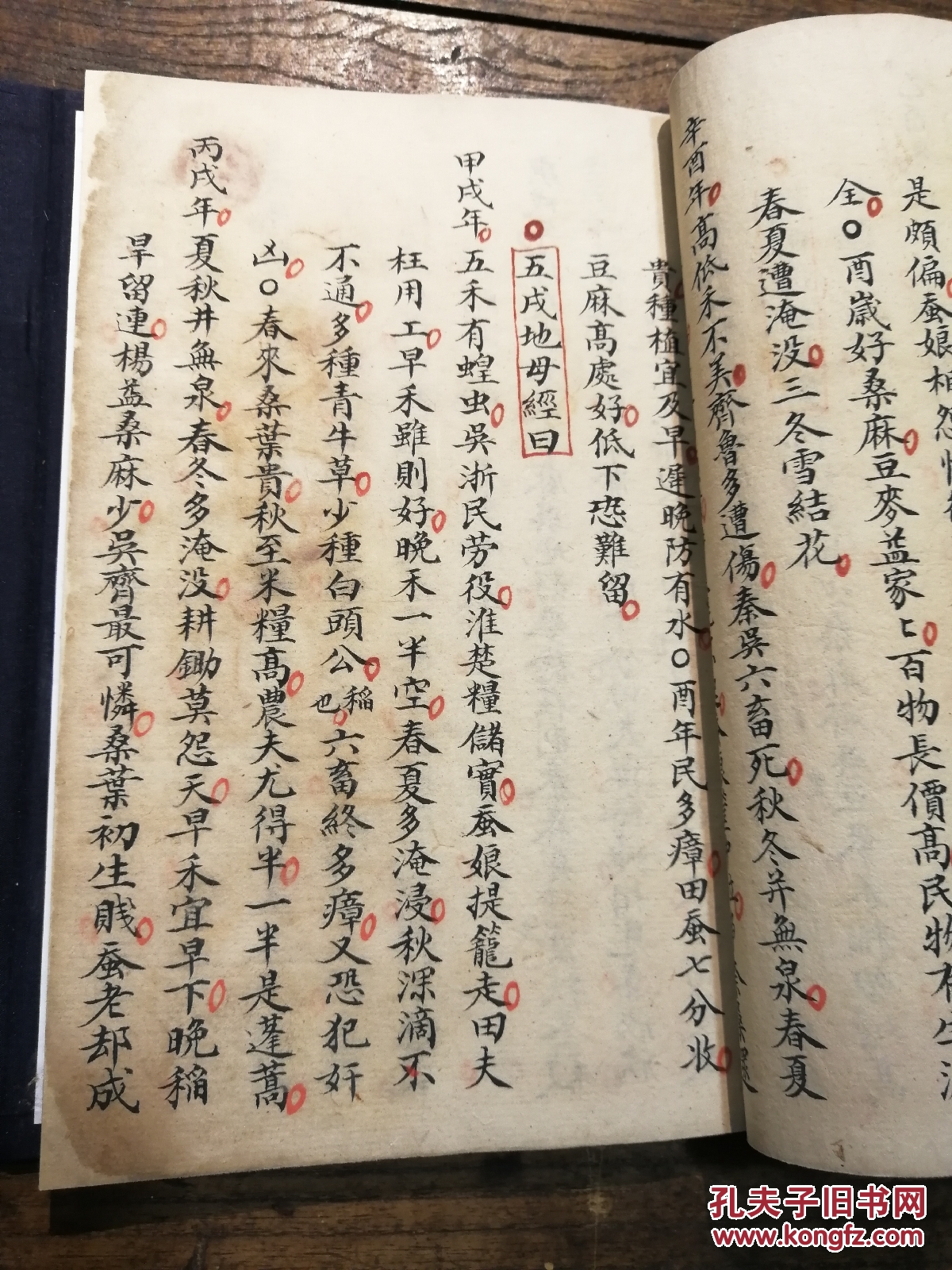 清代手写本《新刻黄帝地母经》一册