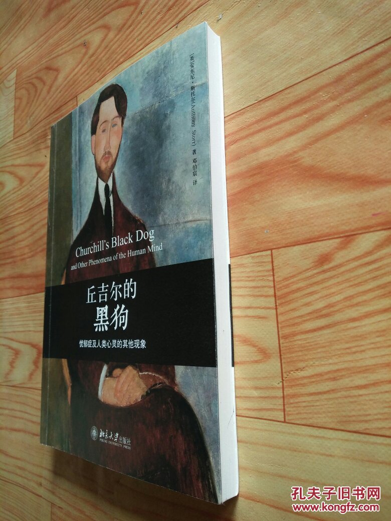 丘吉尔的黑狗——忧郁症及人类心灵的其他现象
