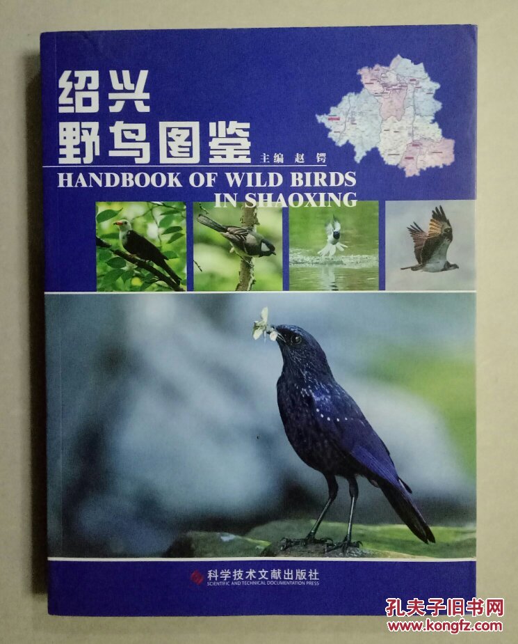 绍兴野鸟图鉴【包邮】