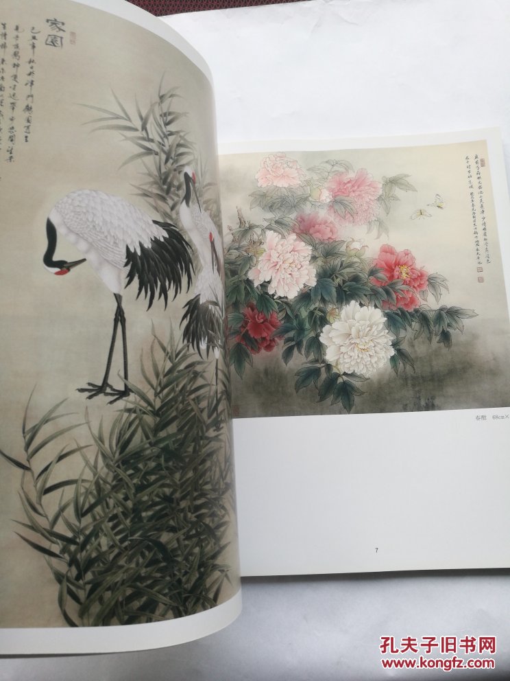 中国当代书画名家《赵永夫花鸟画集》