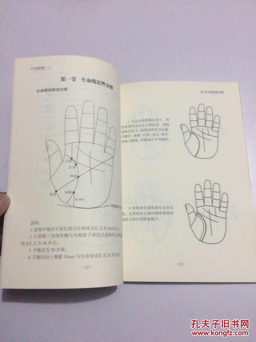 手掌纹路图解