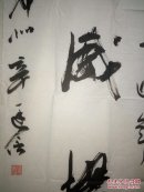 辛廷信,一九五六年生,大专文化,原太康县文化副局长,周口市书法家协会