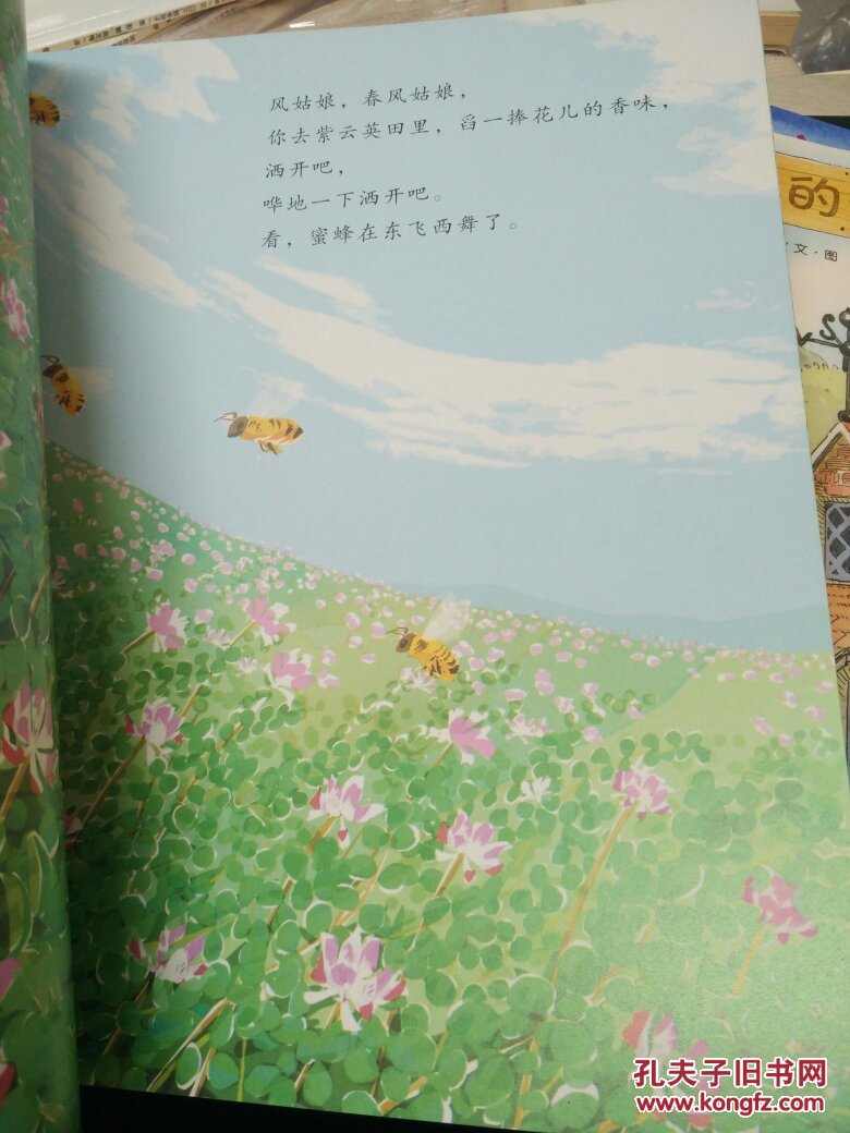 风姑娘, 春风姑娘