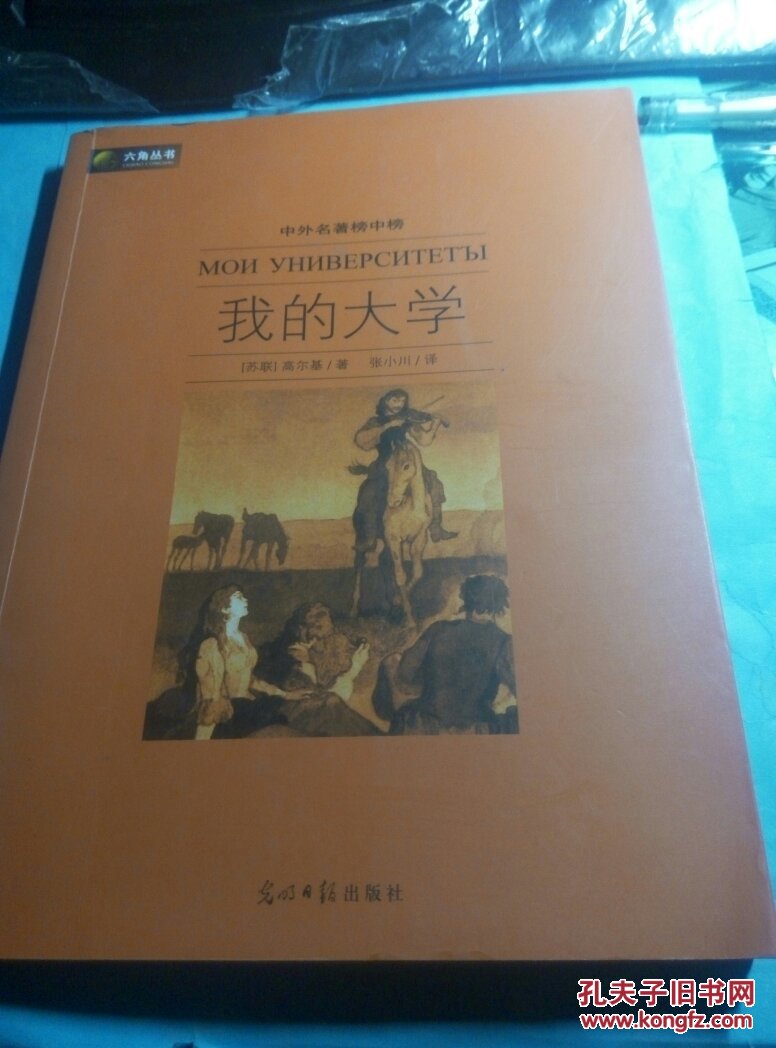 六角丛书·中外名著榜中榜:我的大学