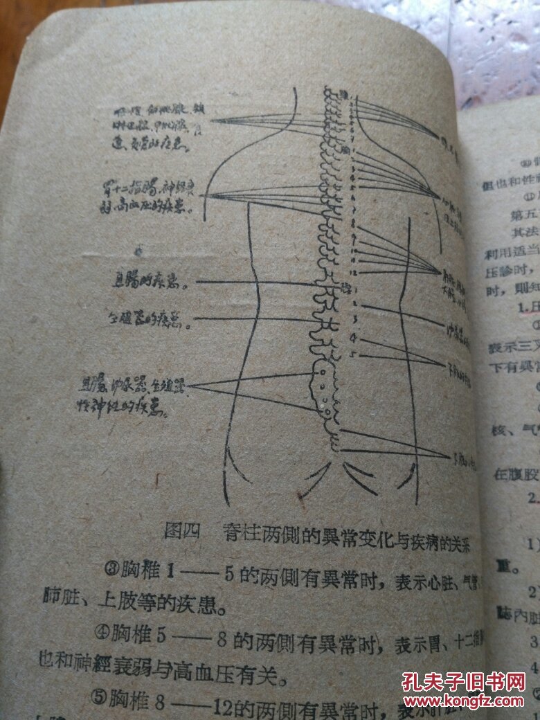 梅花针疗法