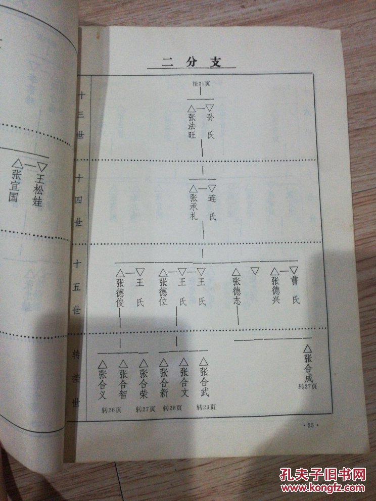 【光源堂】张氏家谱