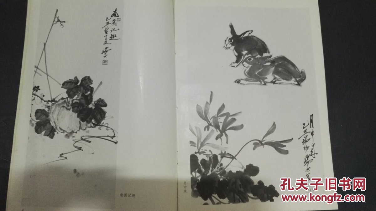 孔端甫花鸟画集