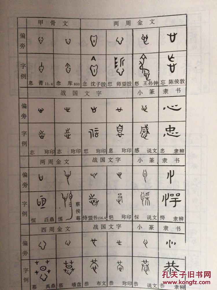 中国古文字学通论