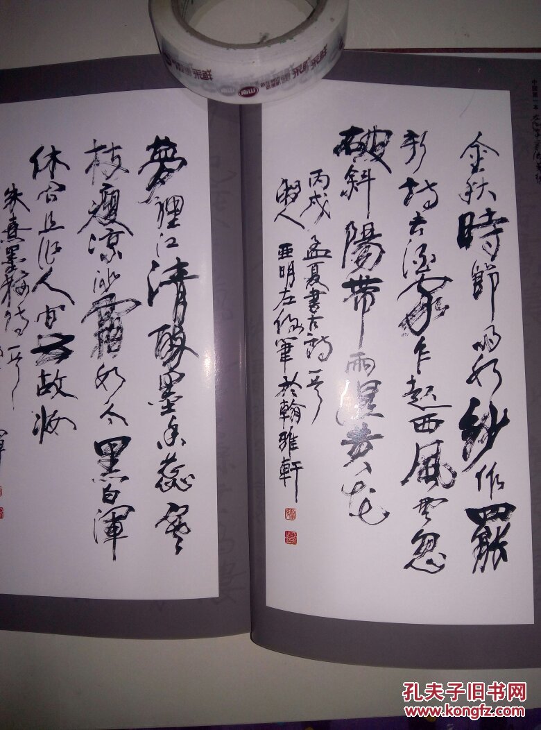 中国第一本左倒笔书法艺术蔡亚明