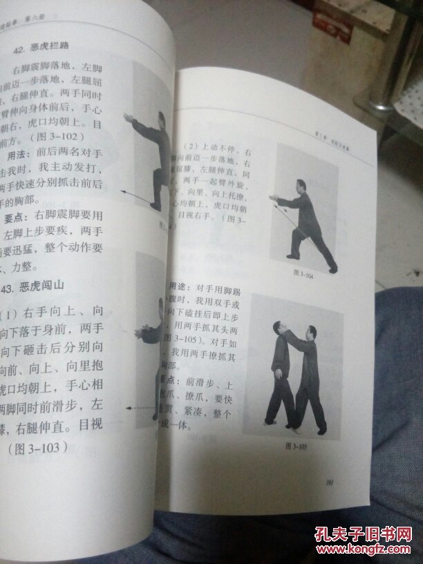 迷踪拳.第六册