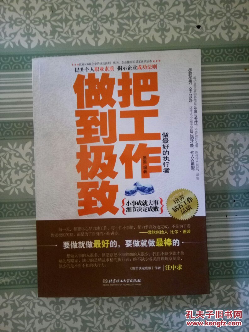 把工作做到极致 : 做最好的执行者