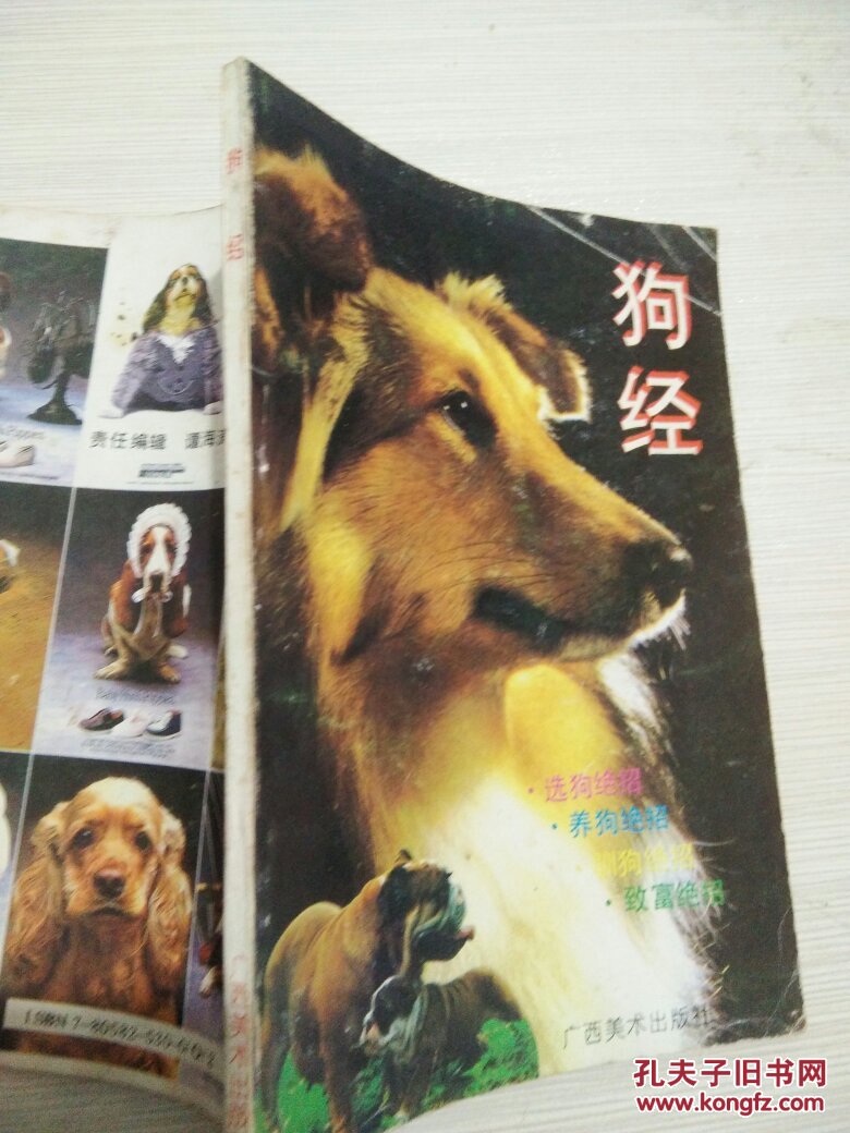 狗经