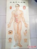 针灸穴位挂图(1,2,3)