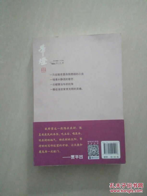 带灯 贾平凹 著