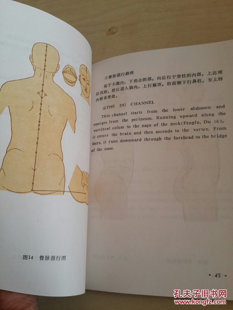腧穴的定位,主治,操作法及气功锻炼中经气运行的路线(如大周天,小周天