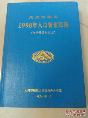 人口普查电子档怎么汇总_人口普查(3)