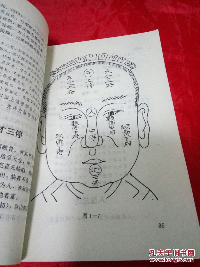 图解式麻衣神相