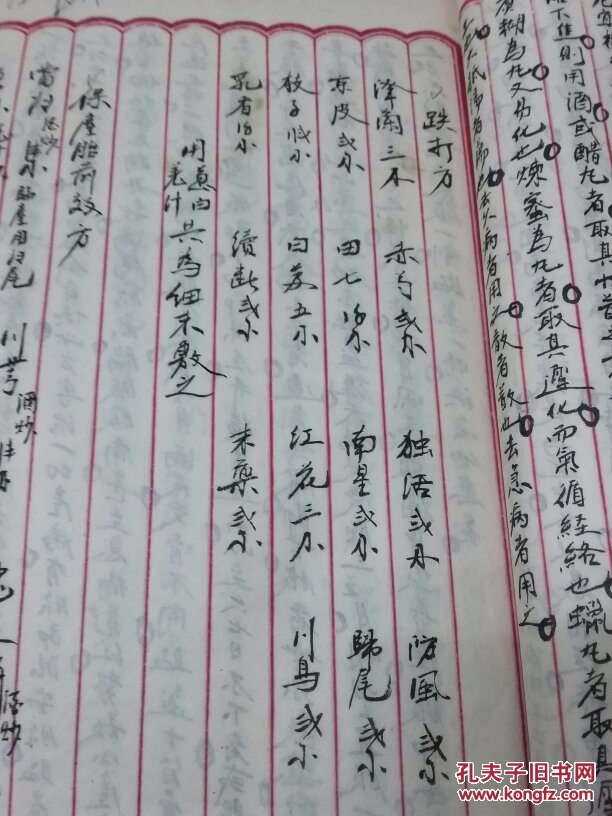 民国中医脉证,中医药方手抄本
