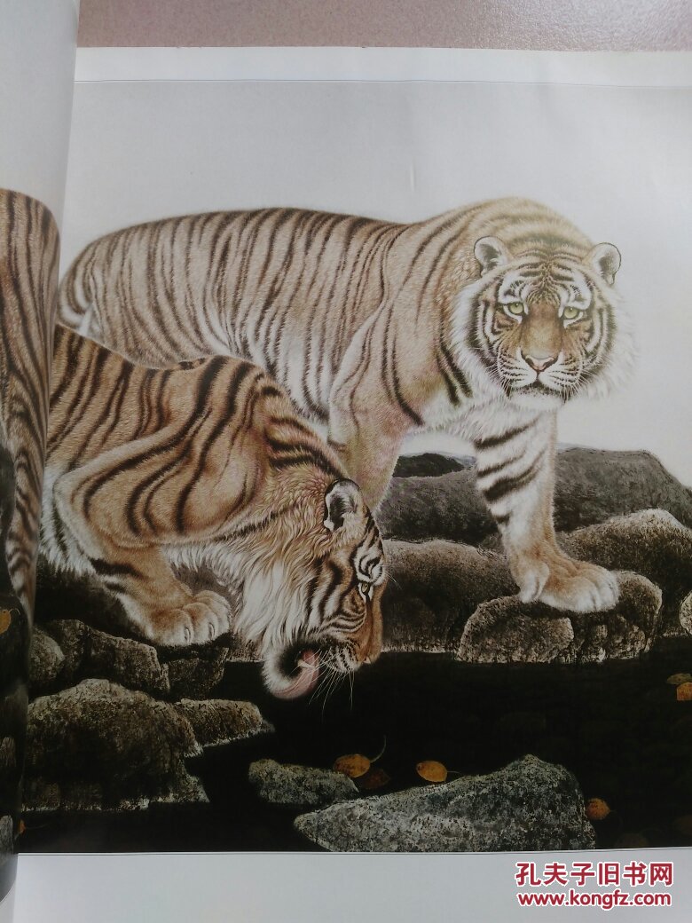 冯大中画虎精品