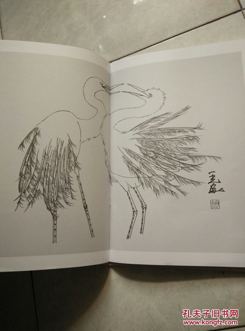 白鹭唯美白描精选