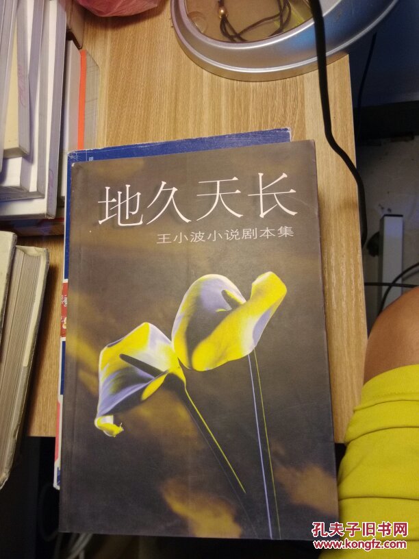 地久天长:王小波小说剧本集
