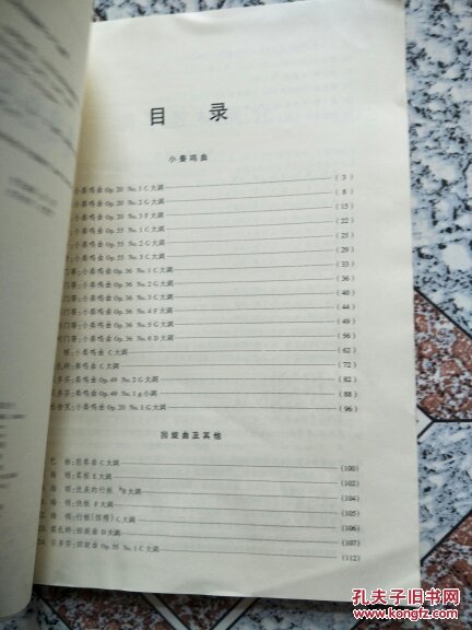 小奏鸣曲集