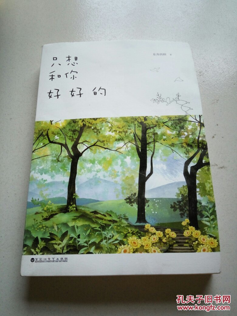 《只想和你好好的》低价购书_东奔西顾 著_文学_孔网