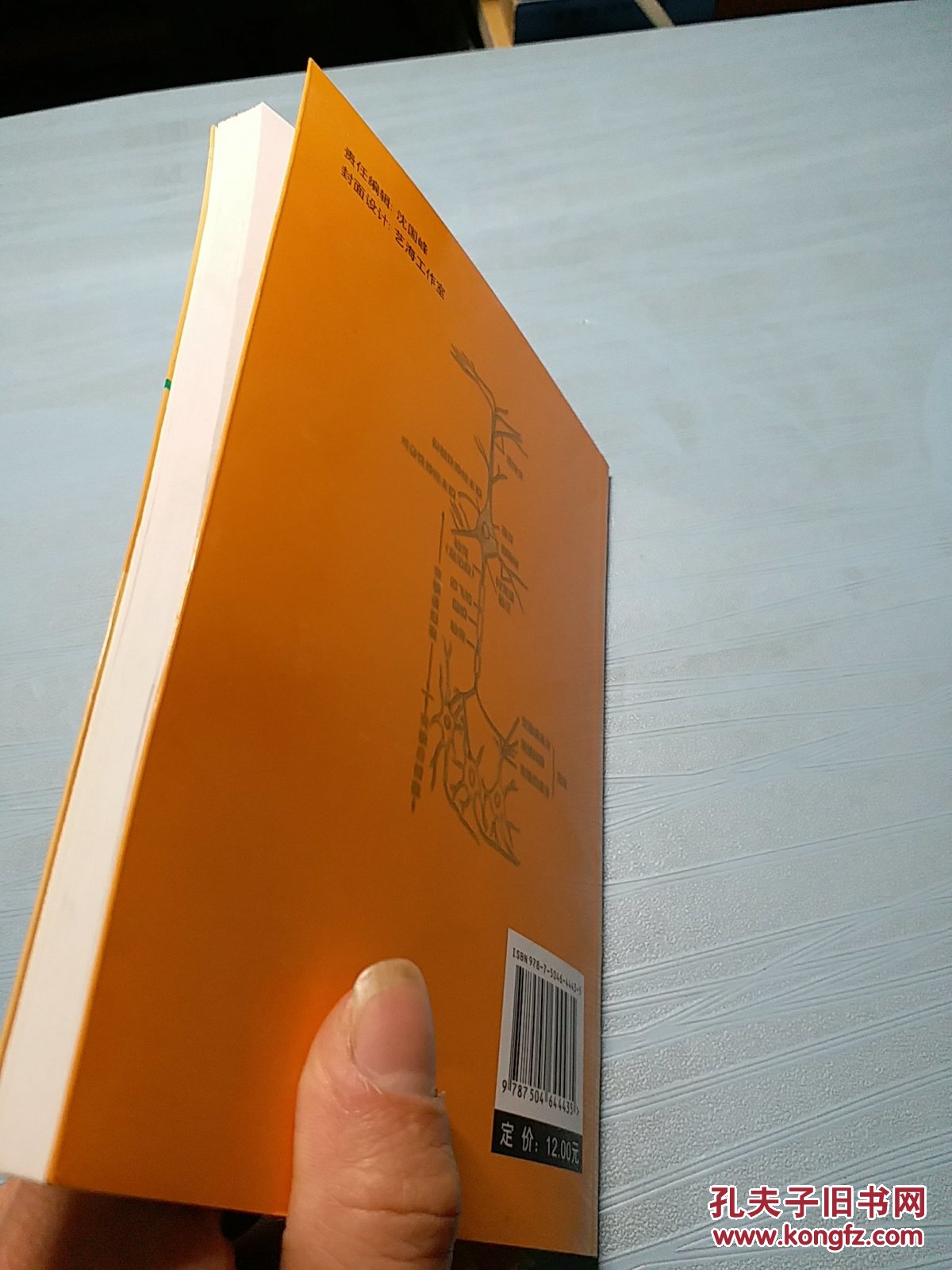 神经酸与脑健康_陈至善 著;侯镜德_孔夫子旧书网