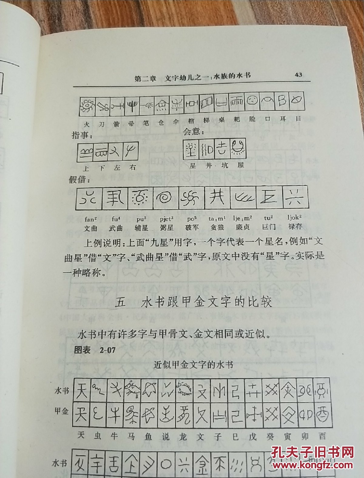 世界文字发展史