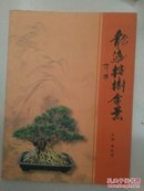 龙海榕树盆景（铜版纸彩图）作家签名