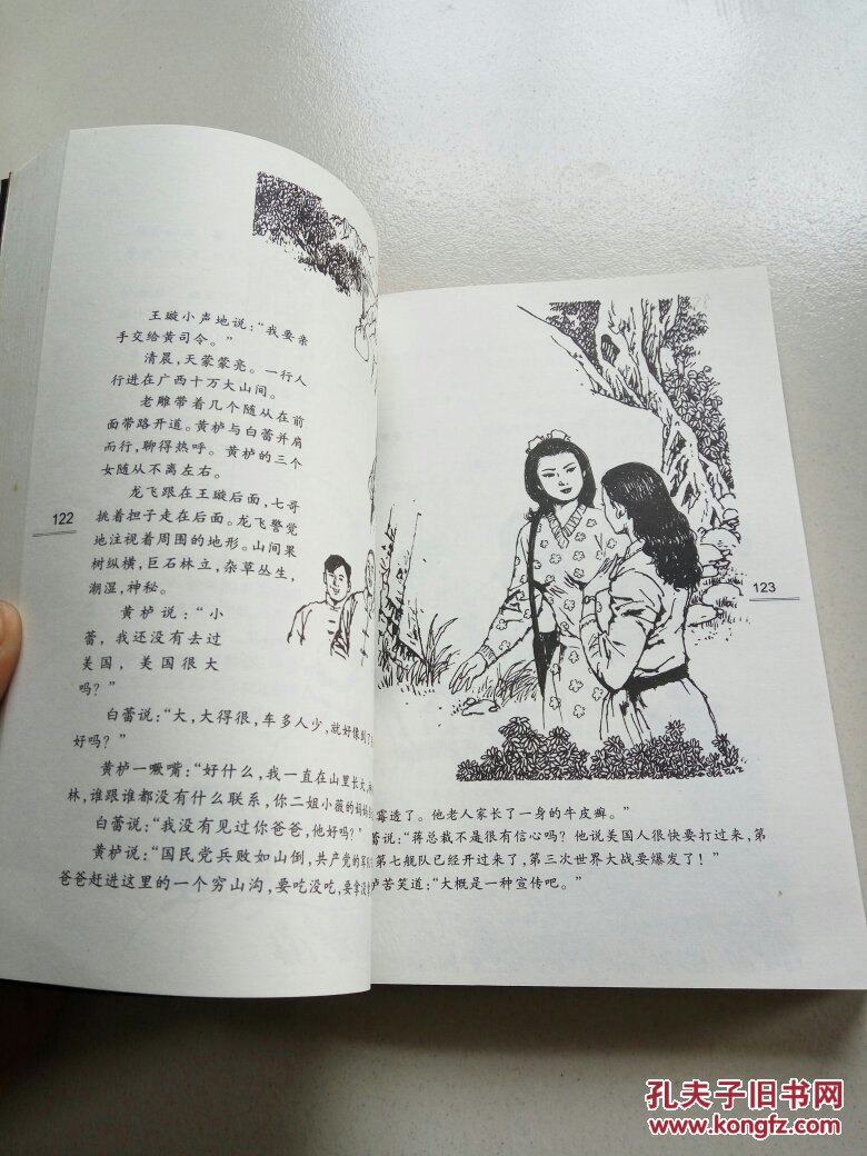 一只绣花鞋:著名"文革"手抄本:绘画本(一版一印)
