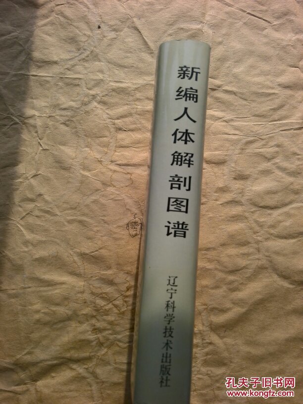 新编人体解剖图谱(全书共收录彩色及黑白图谱近900幅,书未附英汉对照