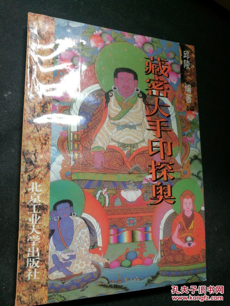 藏密大手印探奥