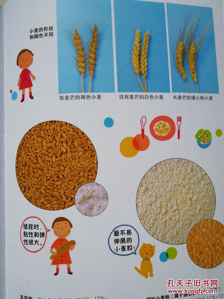 画说麦子-我的小小农场6_(日)吉田久|绘画:(日)目黑美