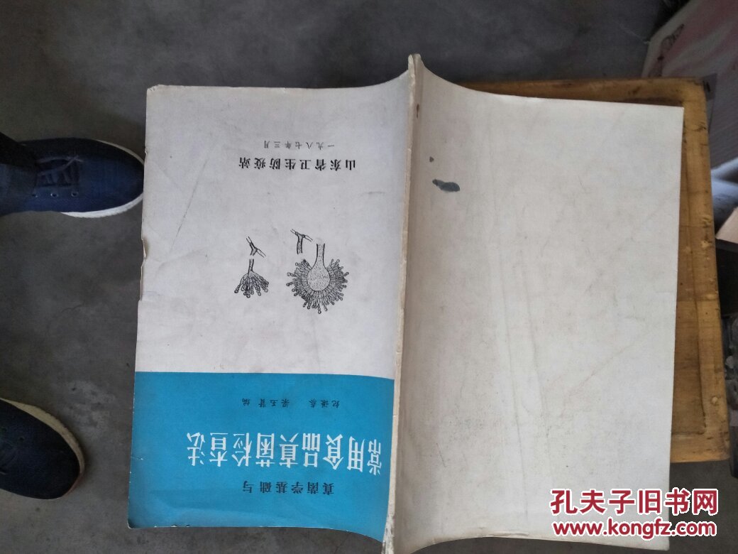 真菌学基础与常用食品真菌检查法(16开)