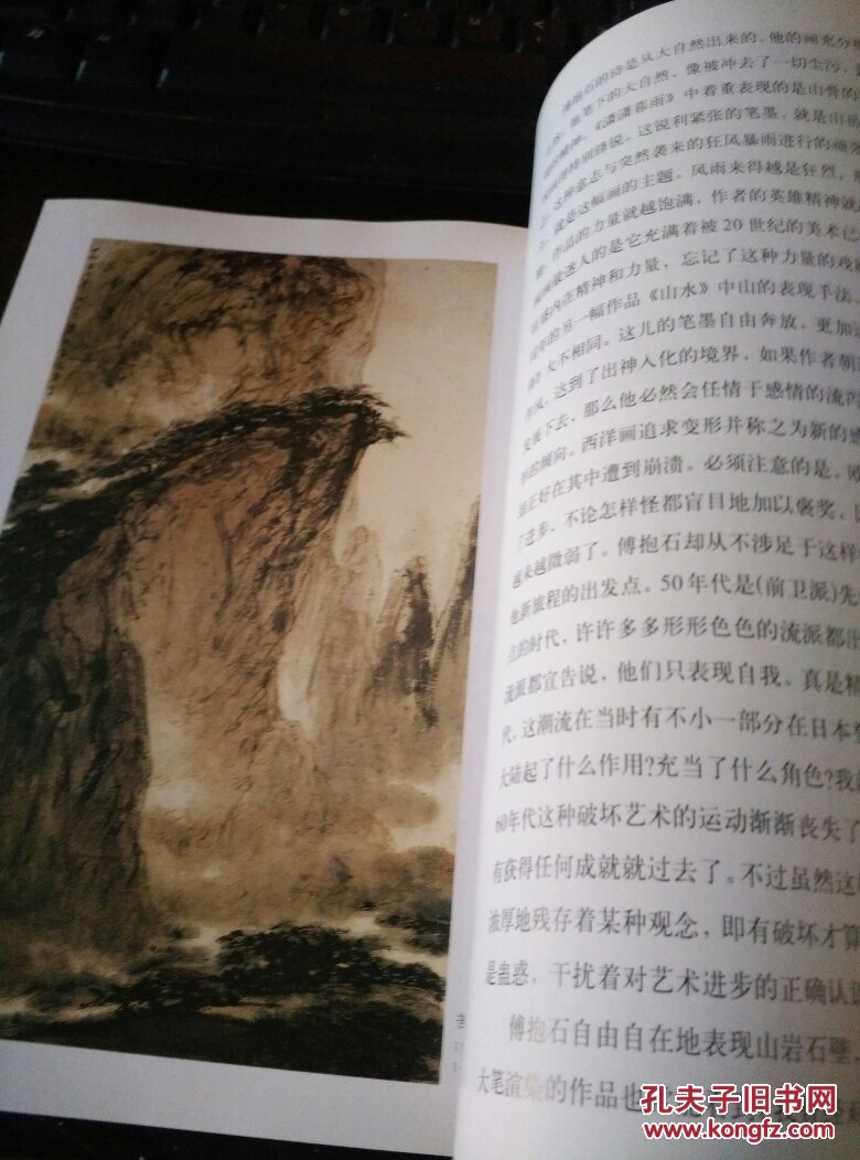 中国名画家全集傅抱石