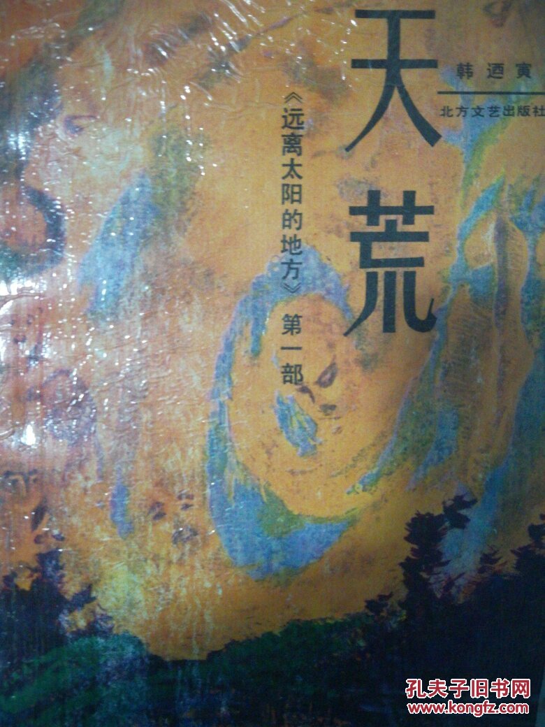 天荒-《远离太阳的地方》第一部 馆藏书